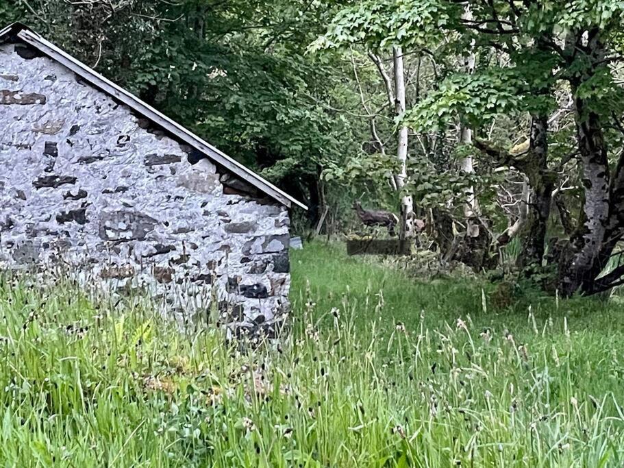 John The Mills Cottage Spahot Tub Private Beach Donegal Town Exterior photo